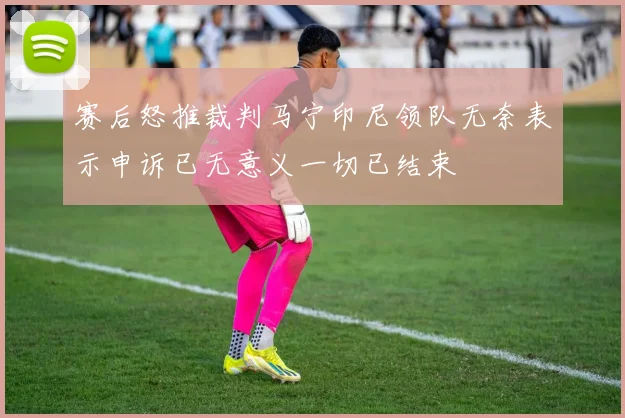 赛后怒推裁判马宁印尼领队无奈表示申诉已无意义一切已结束