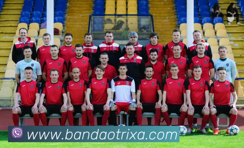 半岛体育服务体系